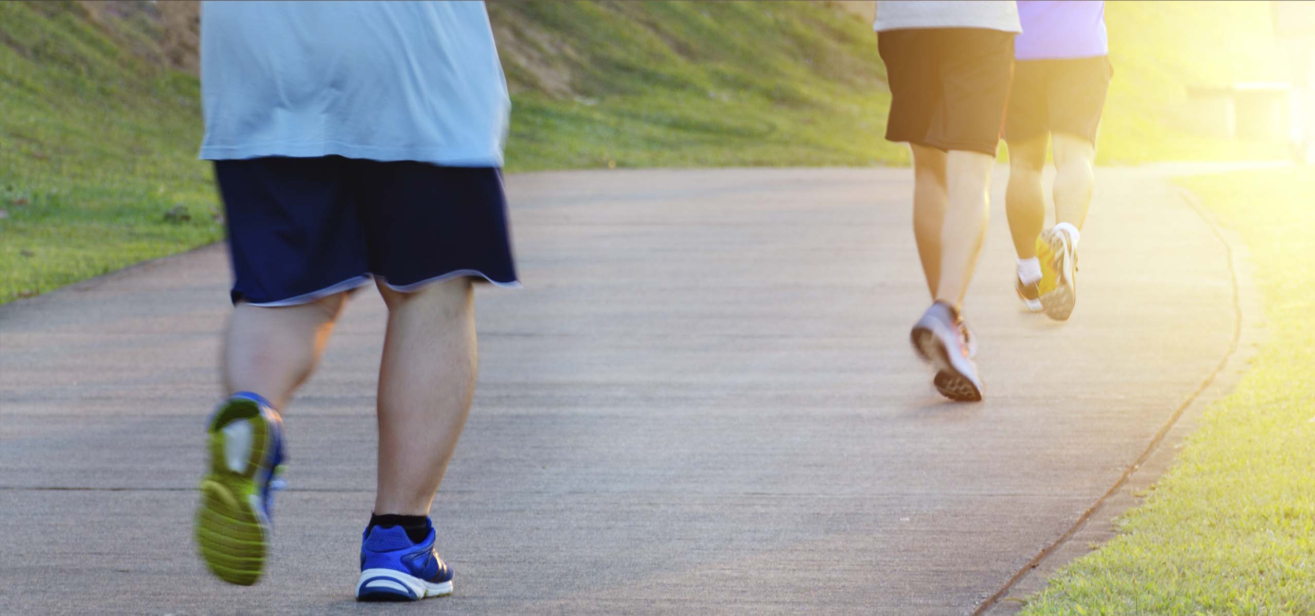 Obesidade: doença ou falta de força de vontade?